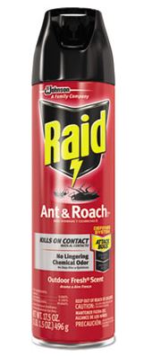 RAID ANT & ROACH SPRAY 17.5OZ - Insecticide